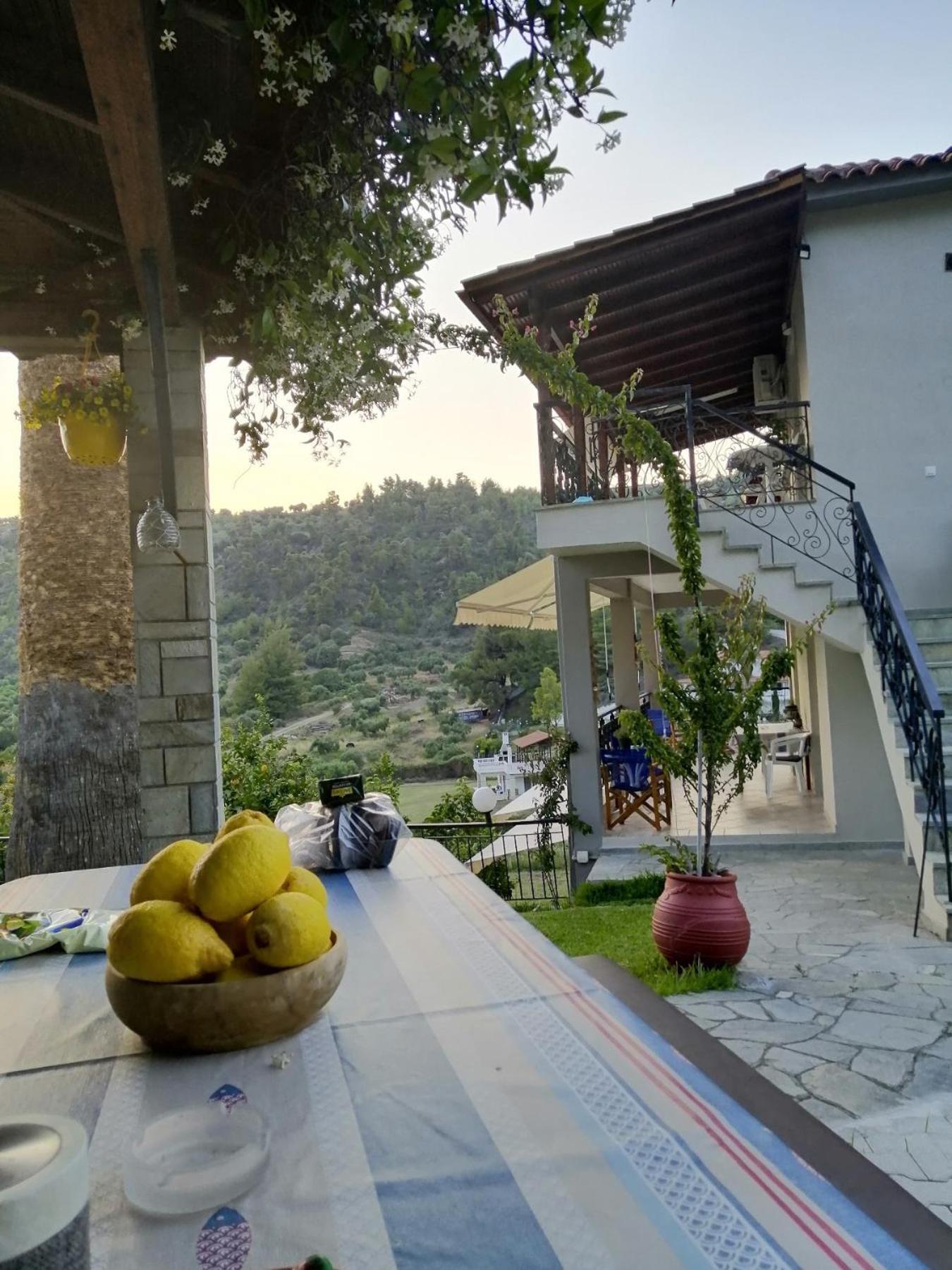 Fotini'S House Apartment เนอา สกีโอนี ภายนอก รูปภาพ