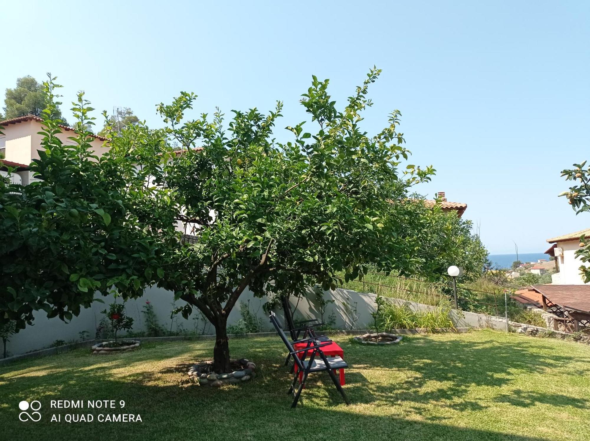 Fotini'S House Apartment เนอา สกีโอนี ภายนอก รูปภาพ